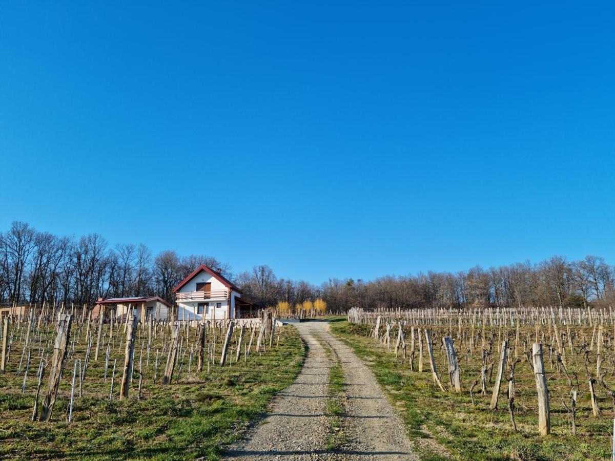 Kuca Za Odmor Baron Villa Gotó Kültér fotó