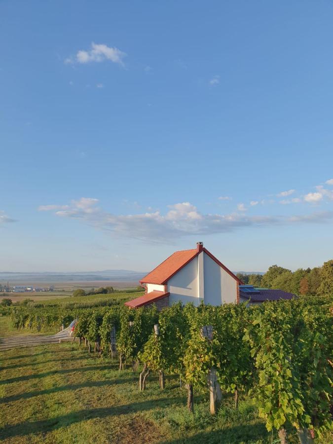 Kuca Za Odmor Baron Villa Gotó Kültér fotó